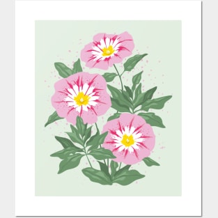 Pink Bindweed Flowers Posters and Art
